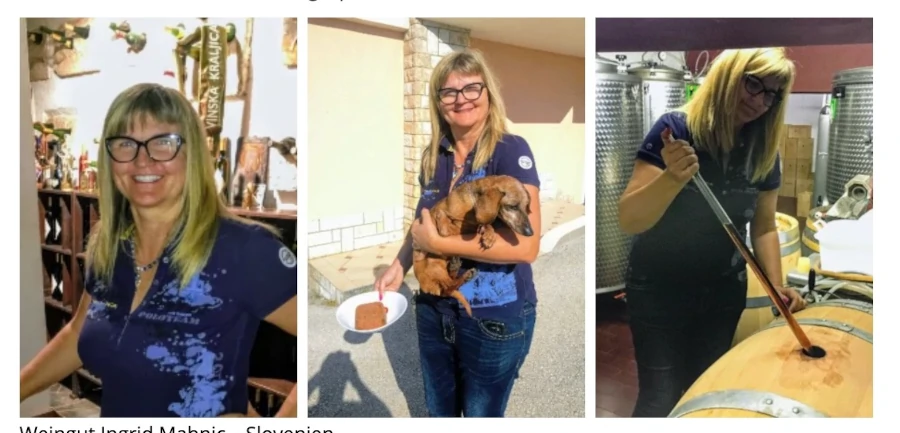 01_Weingut Mahnic_Blog