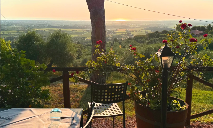 Bolgheri_Weintourismus_Weinpilot