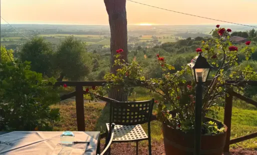 Bolgheri_Weinpilot Artikel