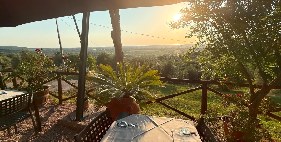 Bolgheri_Weintourismus_Weinpilot