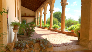 Colli Berici Hills_BW_2022