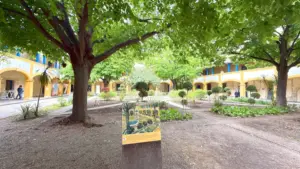 Arles_Blog Artikel