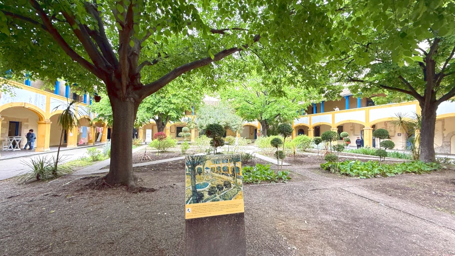 Der Garten des Hospitals in Arles