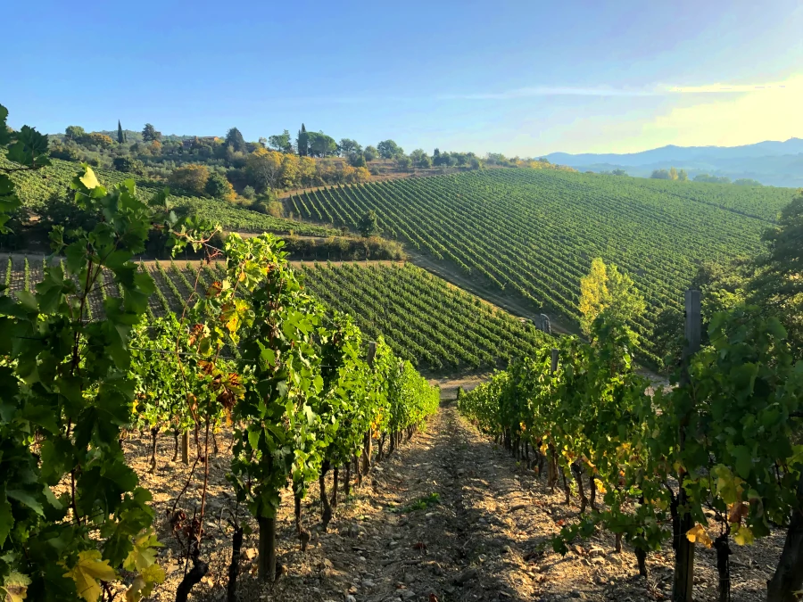 Gaiole Toskana Chianti