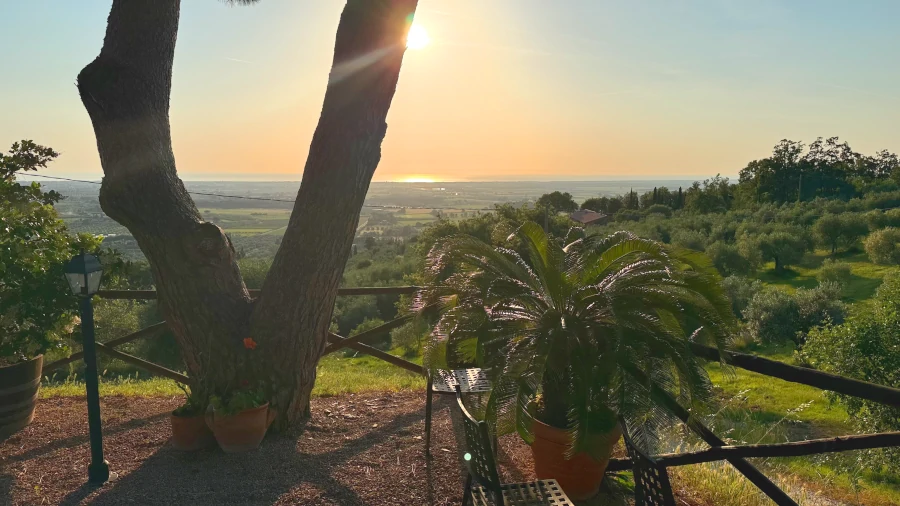 Bolgheri_Weintourismus_Weinpilot