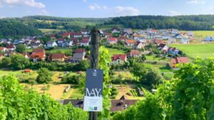 Weingut May_Franken_BW