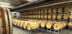 Blog_Schloss Rattey_Weinpilot