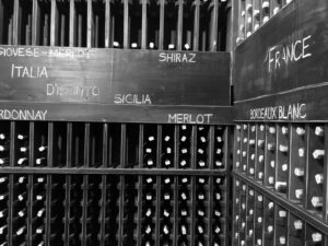 Chateau Vartely_Moldawien_BW