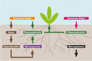 Interview_Berliner Weinpilot_Romana Echensperger