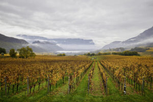 Interview_Berliner Weinpilot_Romana Echensperger