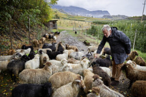 Interview_Berliner Weinpilot_Romana Echensperger