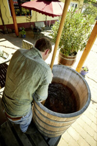 Interview_Berliner Weinpilot_Romana Echensperger