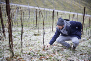 Interview_Berliner Weinpilot_Romana Echensperger