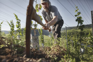 Interview_Berliner Weinpilot_Romana Echensperger