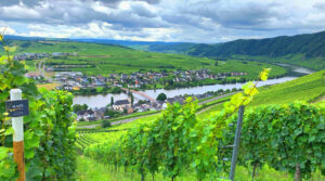 Piesport_Mosel_BW