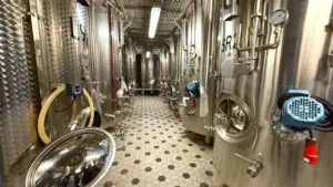 Blog_Schloss Rattey_Weinpilot