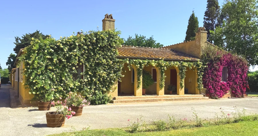 Bolgheri_Weintourismus_Weinpilot