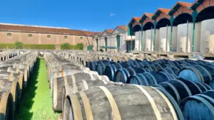 BW_Noilly Prat_Article