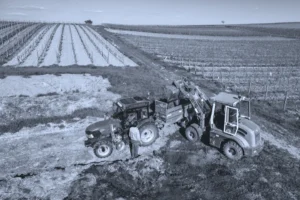 BW_Weingut Huppert_Blog