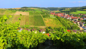 Weingut May_Franken_BW