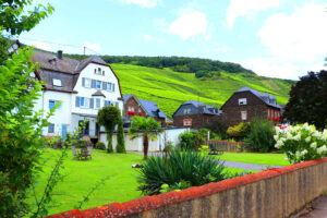 Piesport_Mosel_BW