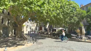 BW_Avignon_Blog