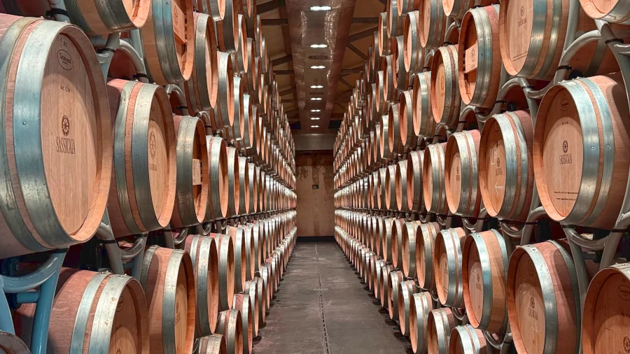 Bolgheri_Weintourismus_Weinpilot