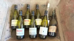 BW_Chateau neuf du Pape_Blog