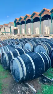 BW_Noilly Prat_Article