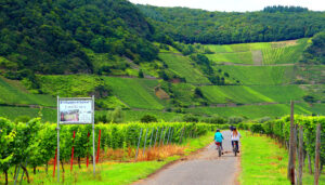 Piesport_Mosel_BW