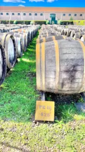 BW_Noilly Prat_Article