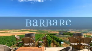 BW_Barbare_Blog