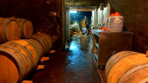 Weingut Rinke_BW