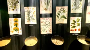 BW_Noilly Prat_Article