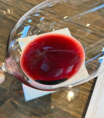 Bolgheri_Weintourismus_Weinpilot