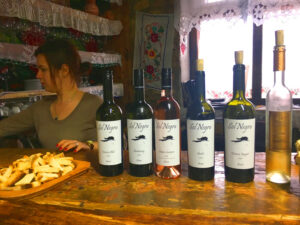 Asconi Winery Moldawien_BW