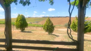 BW_Chateau Nuzun_Blog