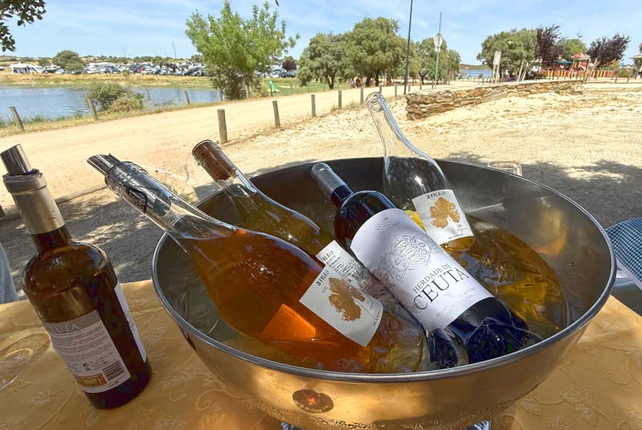 GWTO Global Summit Alentejo