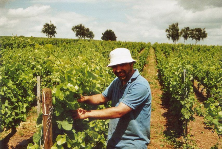 Batin Mumcu Weinlese Italian Winemeridian