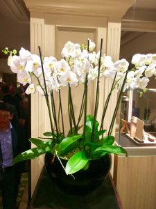 Batin Mumcu - www.berlinerweinpilot.de