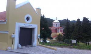 Batin Mumcu - www.berlinerweinpilot.de