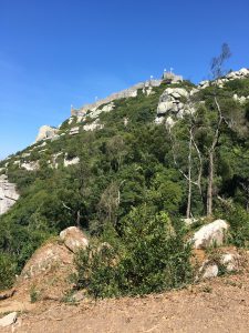 Batin Mumcu - www.berlinerweinpilot.de