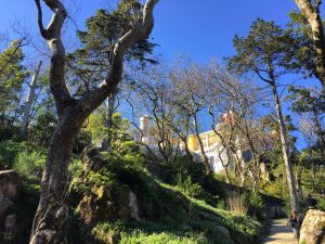 Batin Mumcu - www.berlinerweinpilot.de