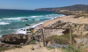 Batin Mumcu - www.berlinerweinpilot.de