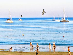 Batin Mumcu - www.berlinerweinpilot.de