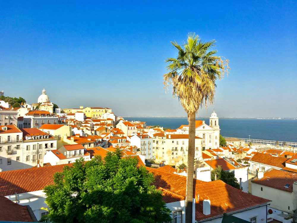 Batin Mumcu - www.berlinerweinpilot.de