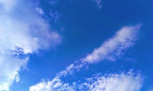 Batin Mumcu - www.berlinerweinpilot.de