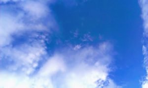 Batin Mumcu - www.berlinerweinpilot.de