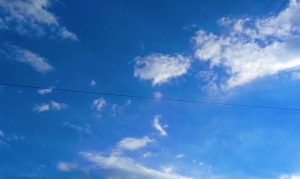 Batin Mumcu - www.berlinerweinpilot.de