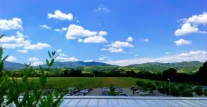 Batin Mumcu - www.berlinerweinpilot.de